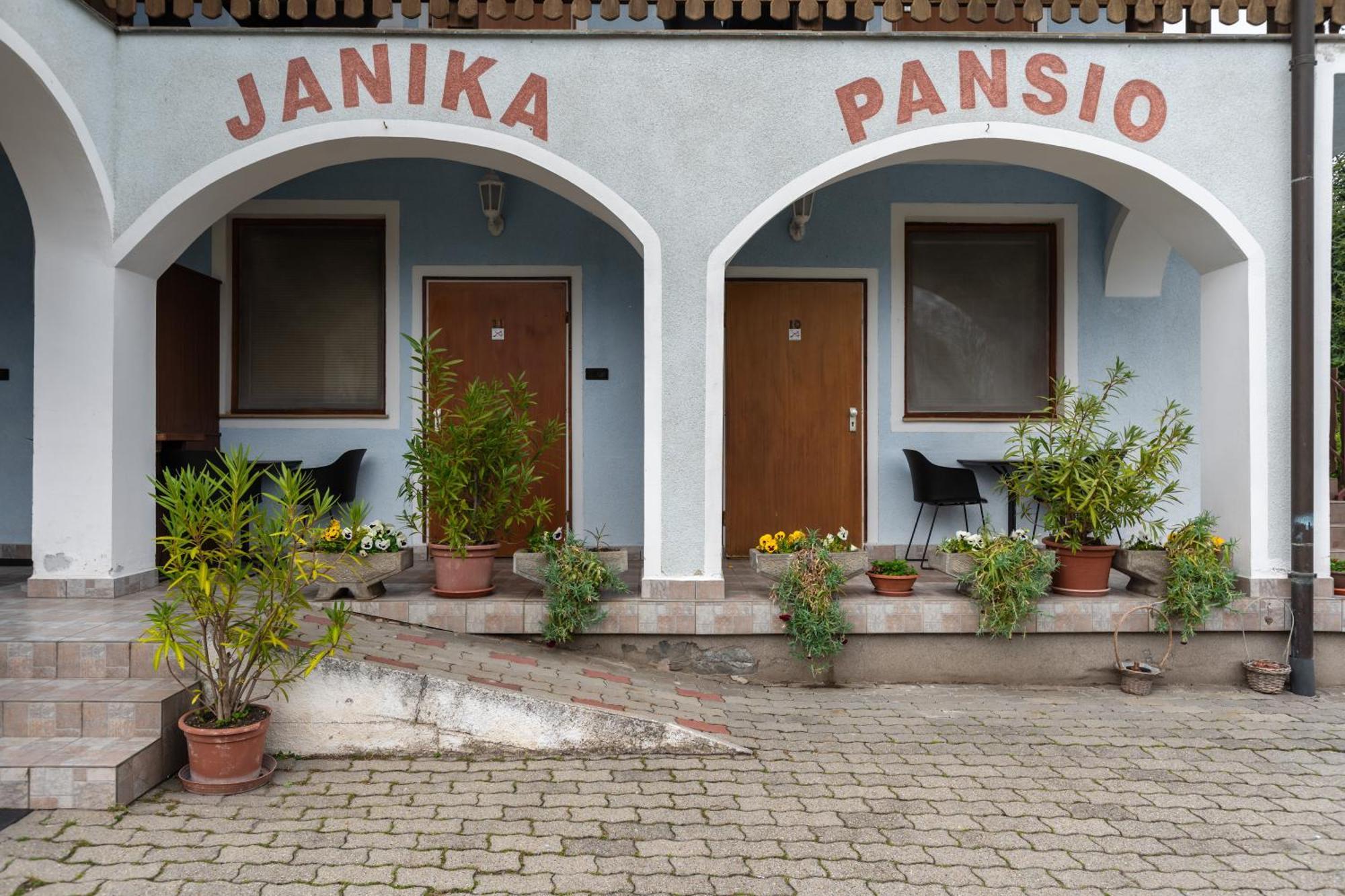 Janika Pension Vonyarcvashegy Zewnętrze zdjęcie